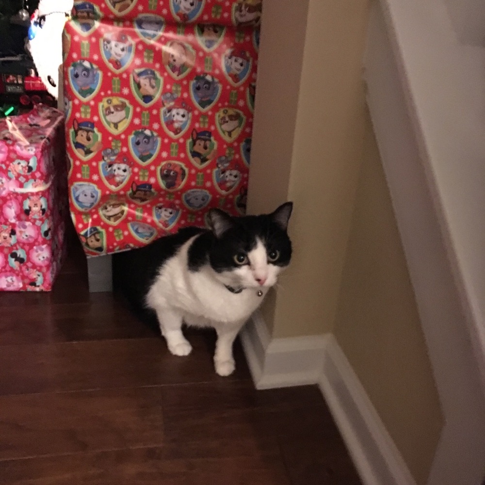 Meet your Posher, Juline